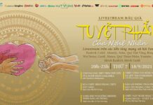 Dịch vụ livestream đấu giá, livestream bán hàng